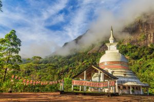Partir en voyage au Sri Lanka : nos conseils